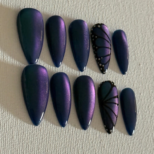Butterfly Babee